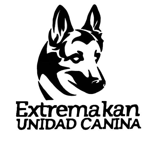Arreglo Logo Extremacan